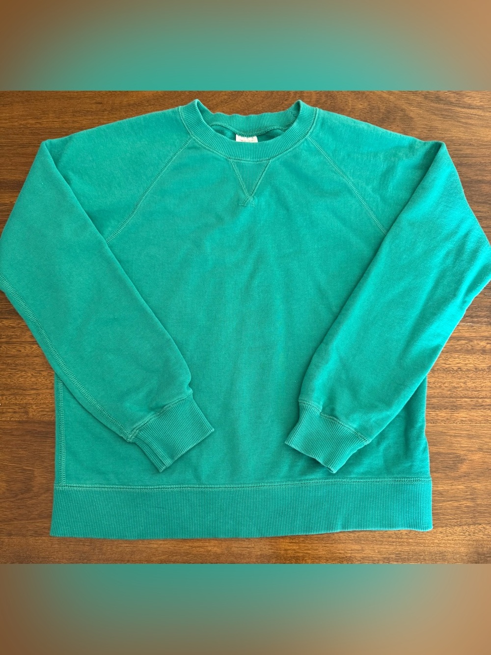 Hanna Andersson Sweatshirt Size 10